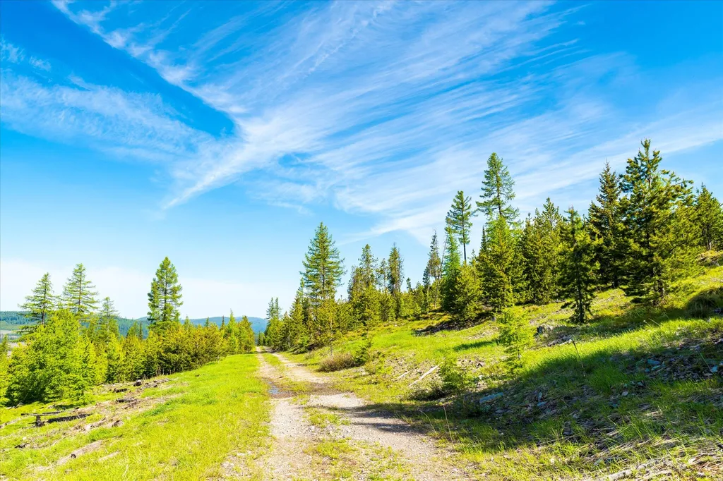 Nhn Griffin Creek Road Marion MT 59925