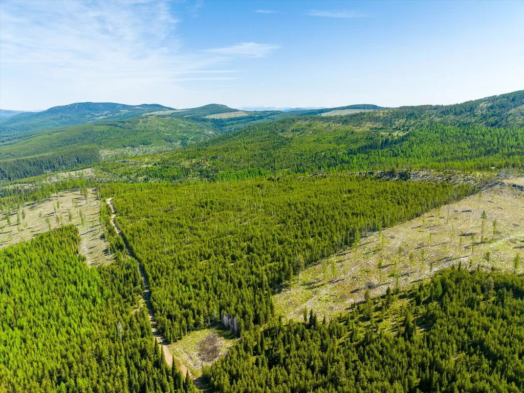 Nhn Griffin Creek Road Marion MT 59925