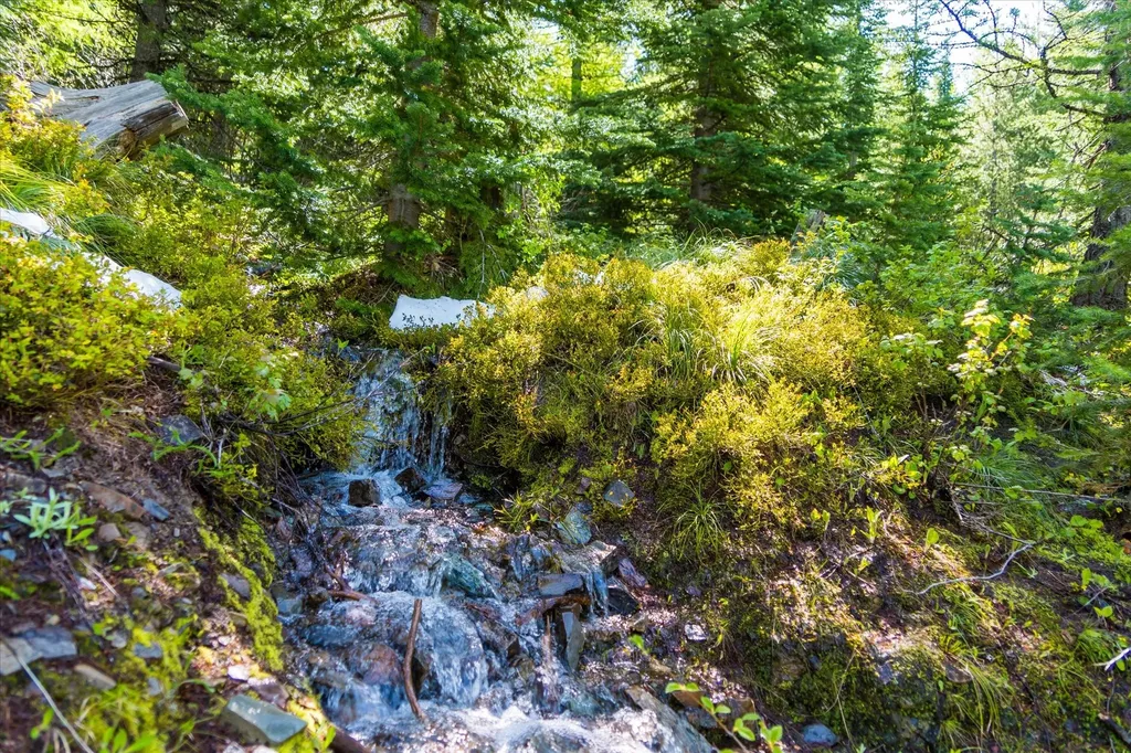 Nhn Griffin Creek Road Marion MT 59925