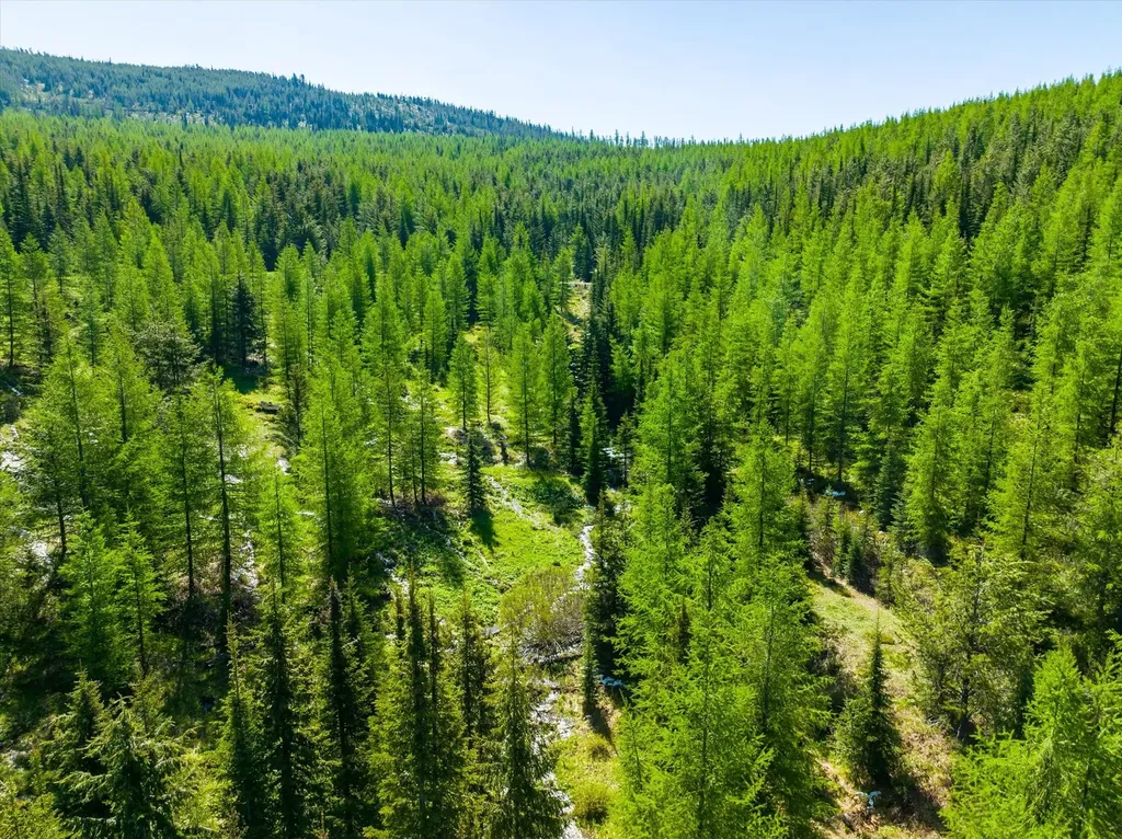 Nhn Griffin Creek Road Marion MT 59925