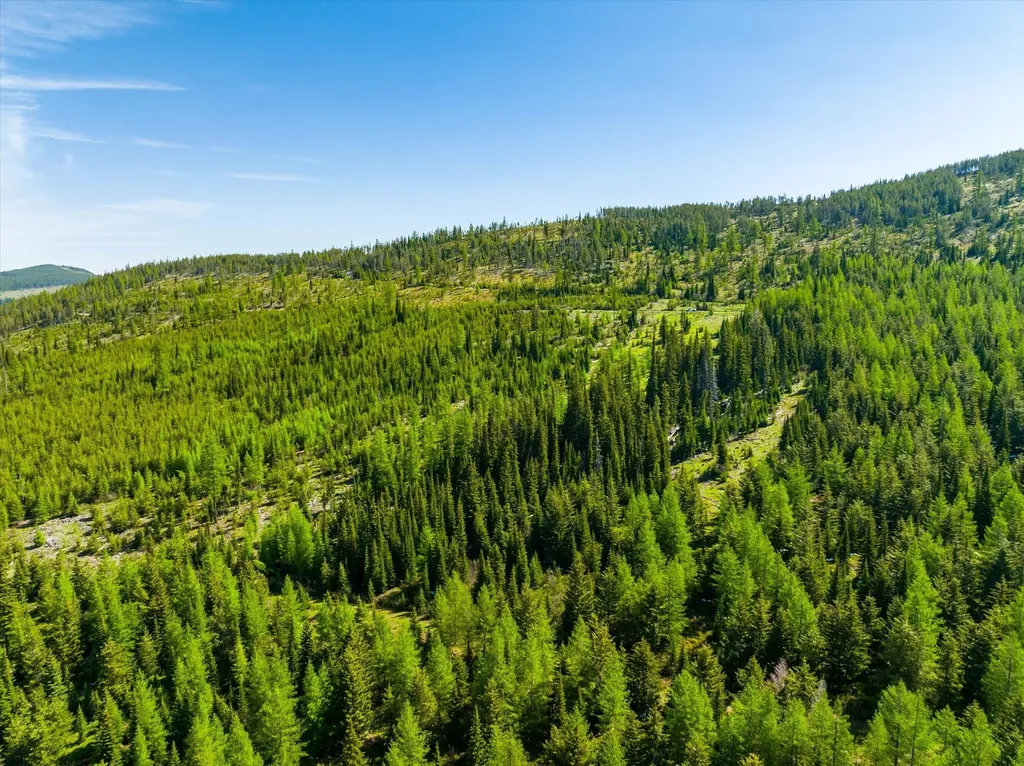 Nhn Griffin Creek Road Marion MT 59925