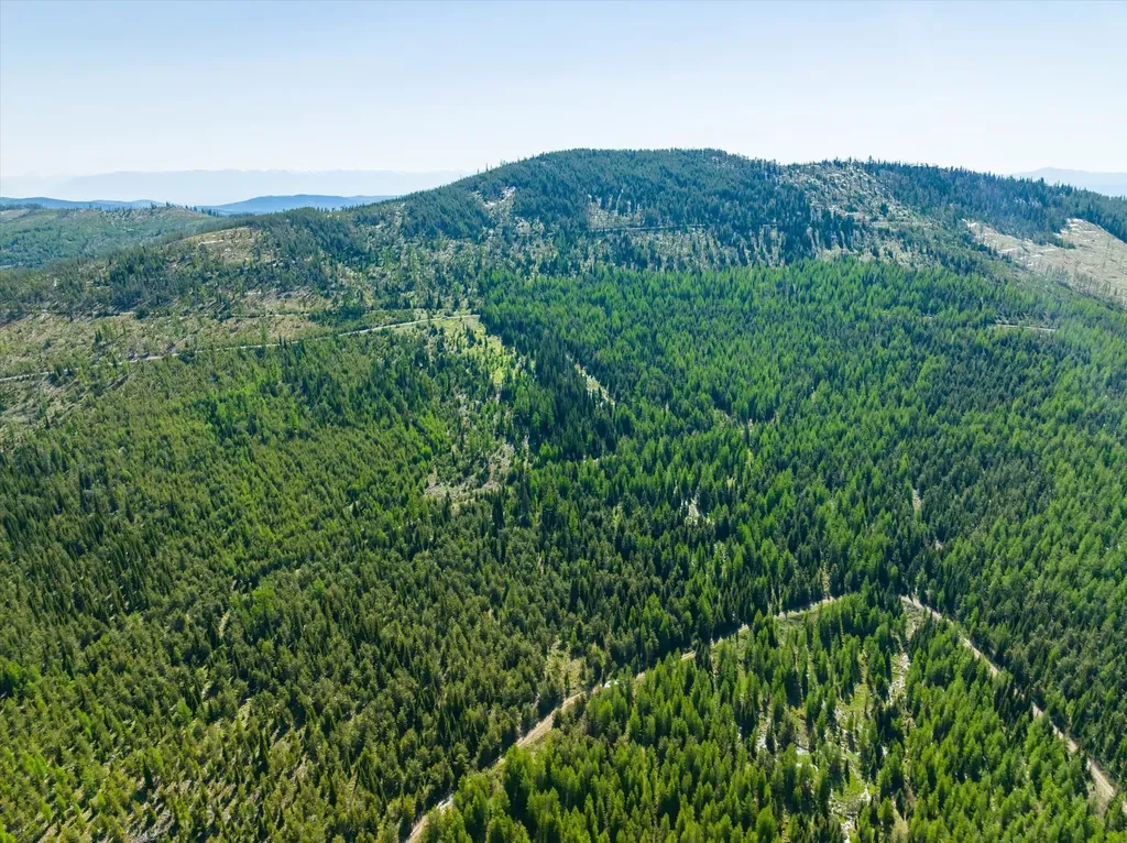 Nhn Griffin Creek Road Marion MT 59925
