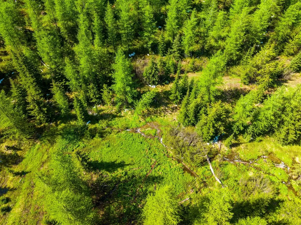 Nhn Griffin Creek Road Marion MT 59925