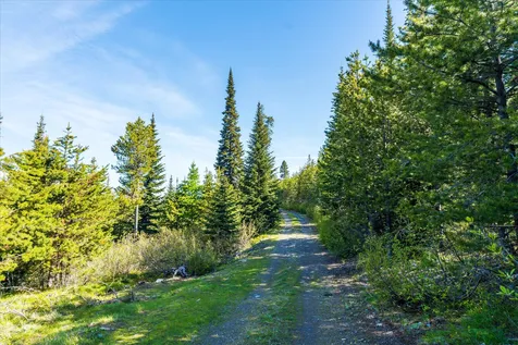 Nhn Griffin Creek Road Marion MT 59925