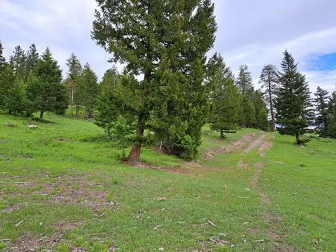 877 Batavia Lane Kalispell MT 59901