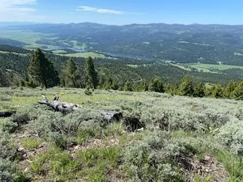 #13 Tract, Nevada Creek Ranch Helmville MT 59843