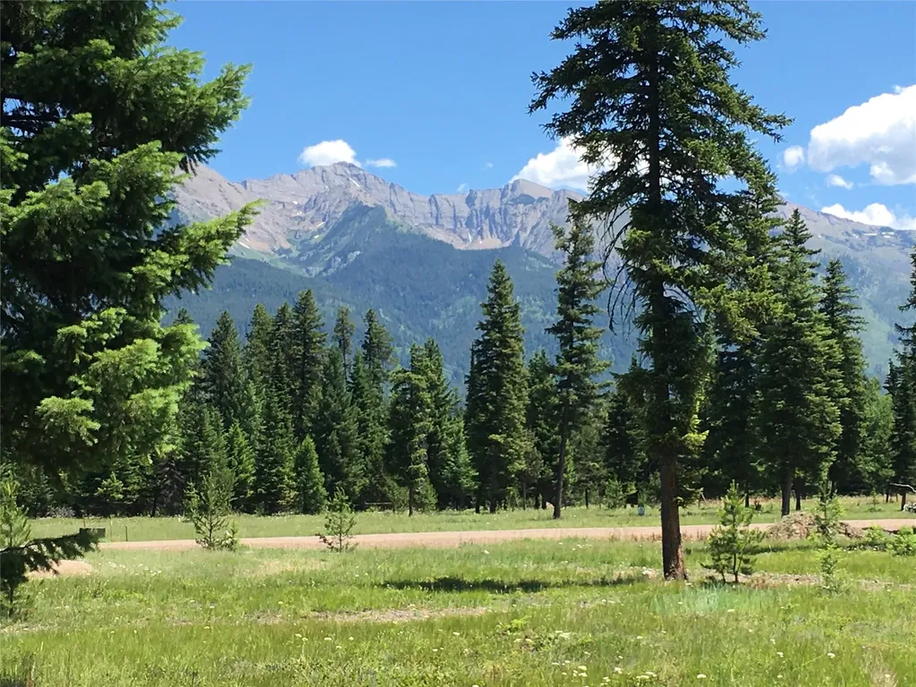 223 Mission Vista Lane Swan Valley MT 59826