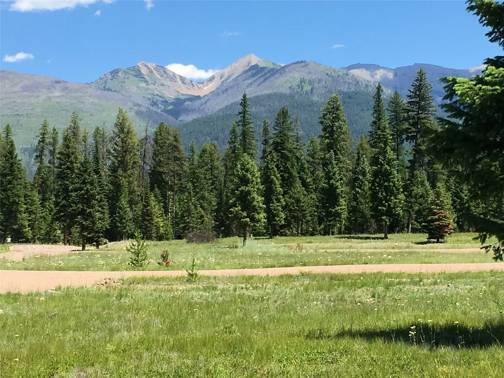 223 Mission Vista Lane Swan Valley MT 59826