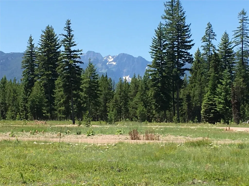223 Mission Vista Lane Swan Valley MT 59826