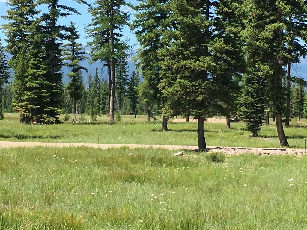223 Mission Vista Lane Swan Valley MT 59826