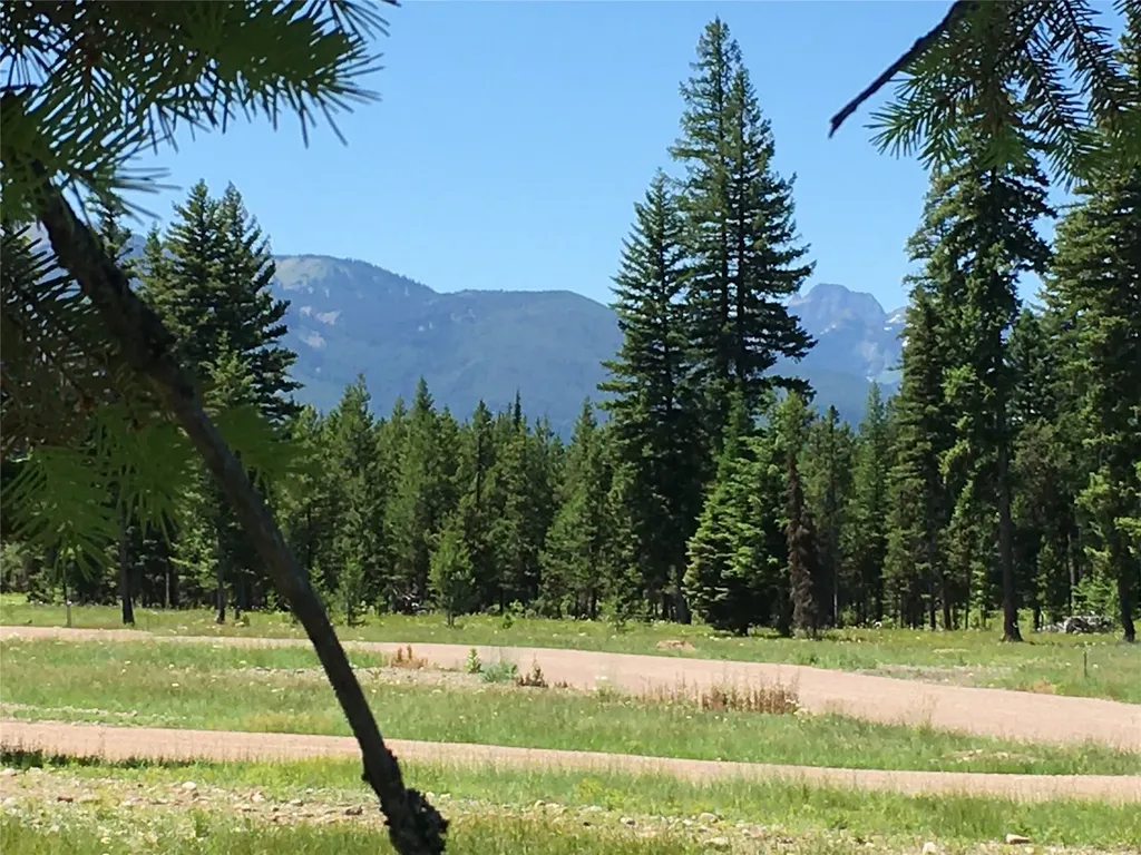 223 Mission Vista Lane Swan Valley MT 59826