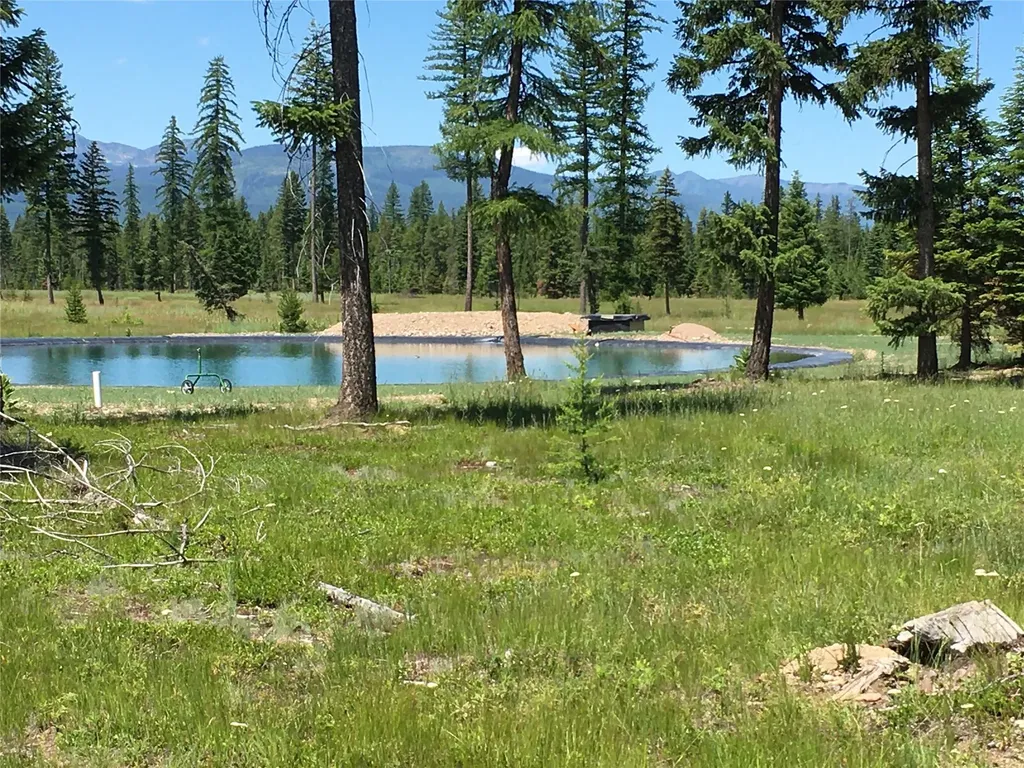 223 Mission Vista Lane Swan Valley MT 59826