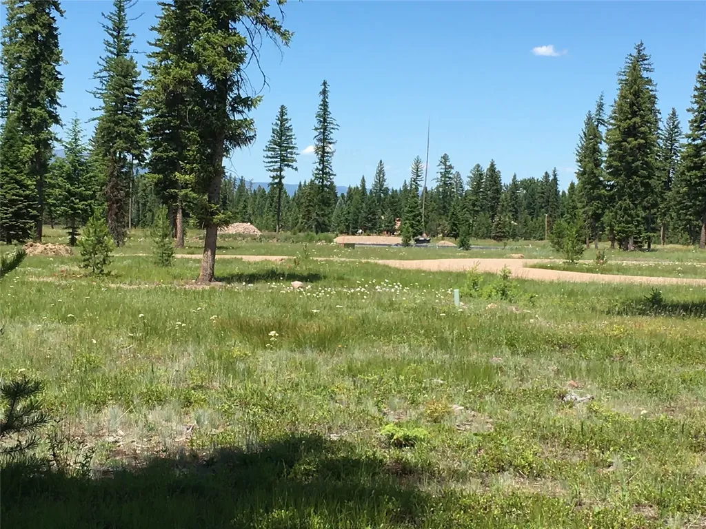 181 Mission Vista Lane Swan Valley MT 59826