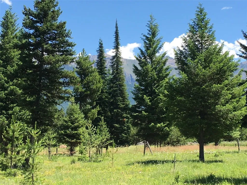 234 Mission Vista Lane Swan Valley MT 59826