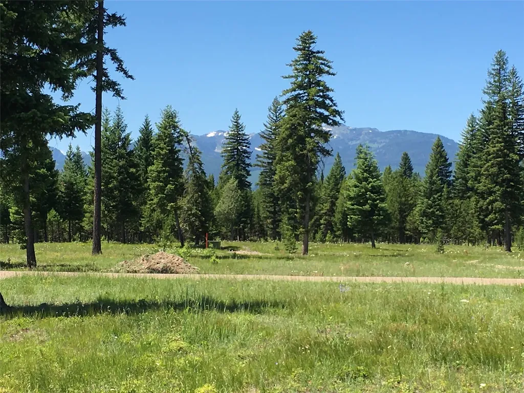 234 Mission Vista Lane Swan Valley MT 59826