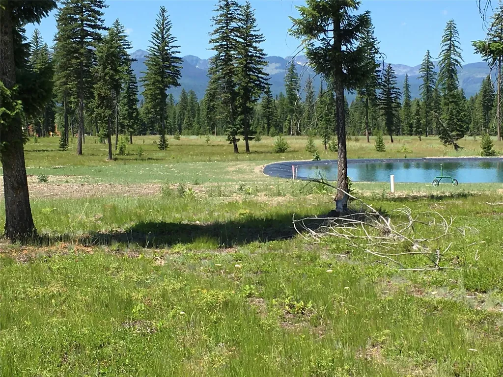 234 Mission Vista Lane Swan Valley MT 59826