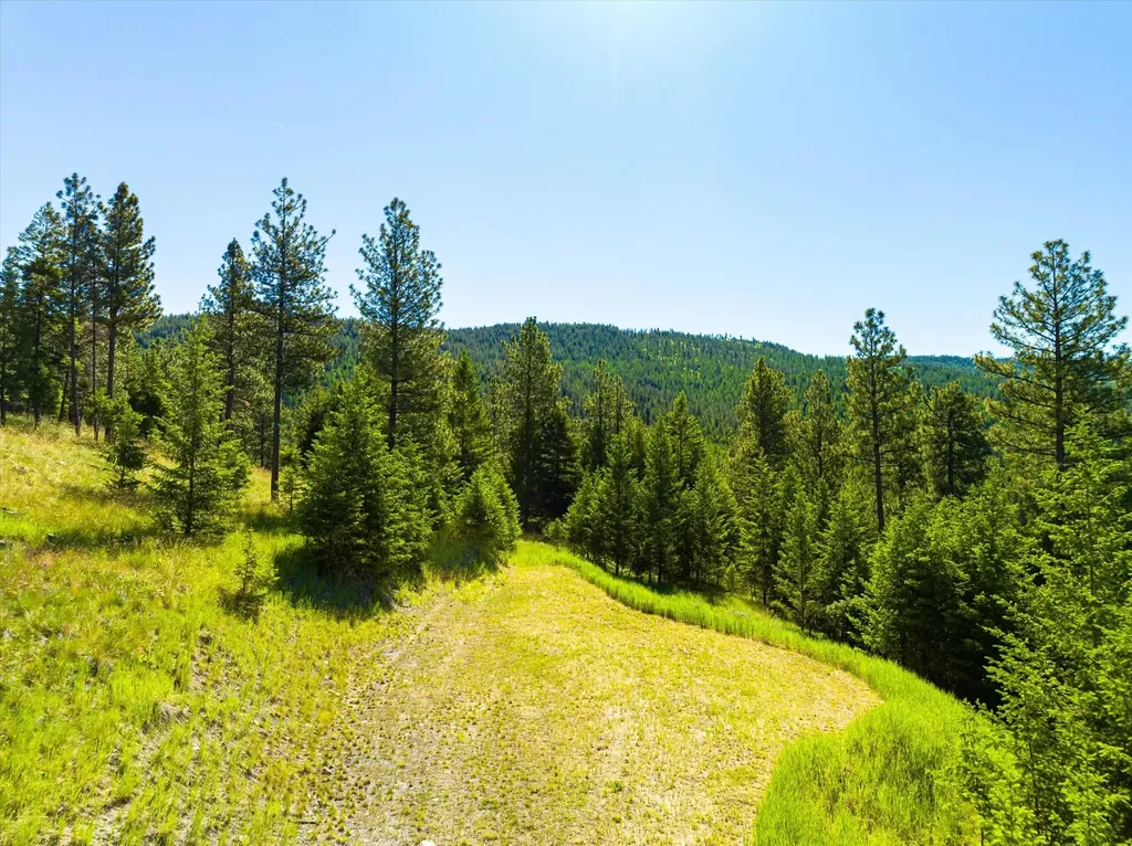781 Springhill Road Kila MT 59920