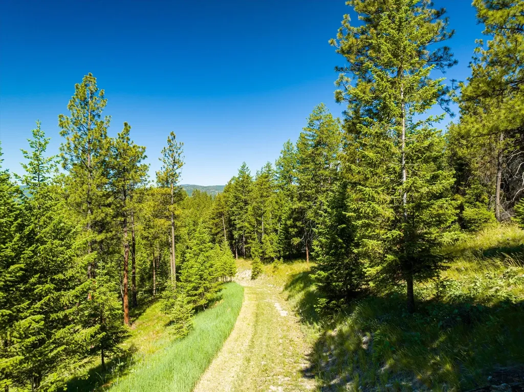 781 Springhill Road Kila MT 59920