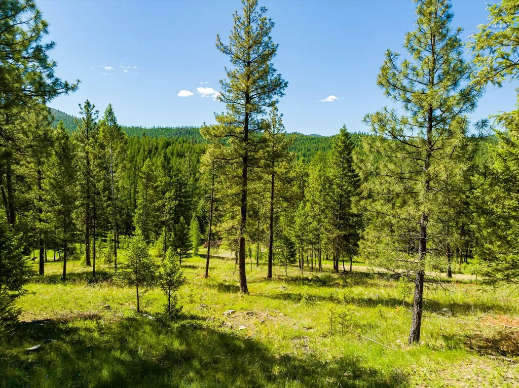 781 Springhill Road Kila MT 59920