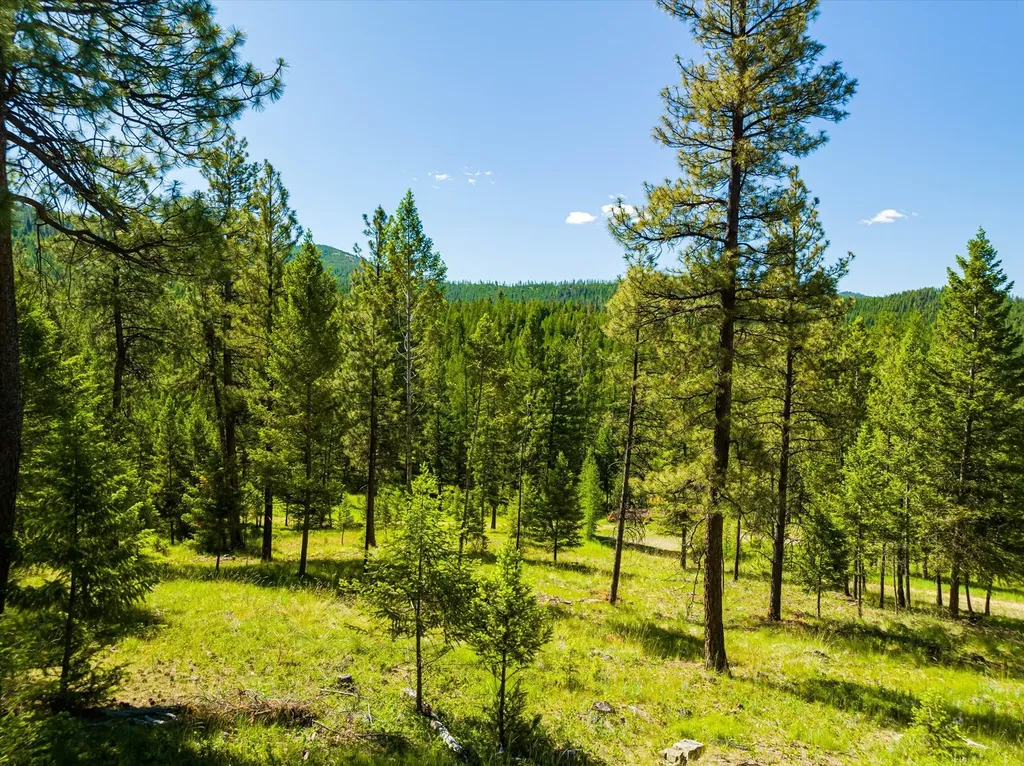 781 Springhill Road Kila MT 59920