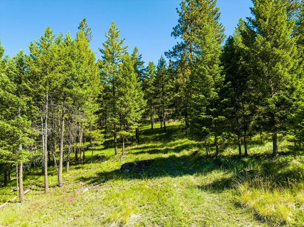 781 Springhill Road Kila MT 59920