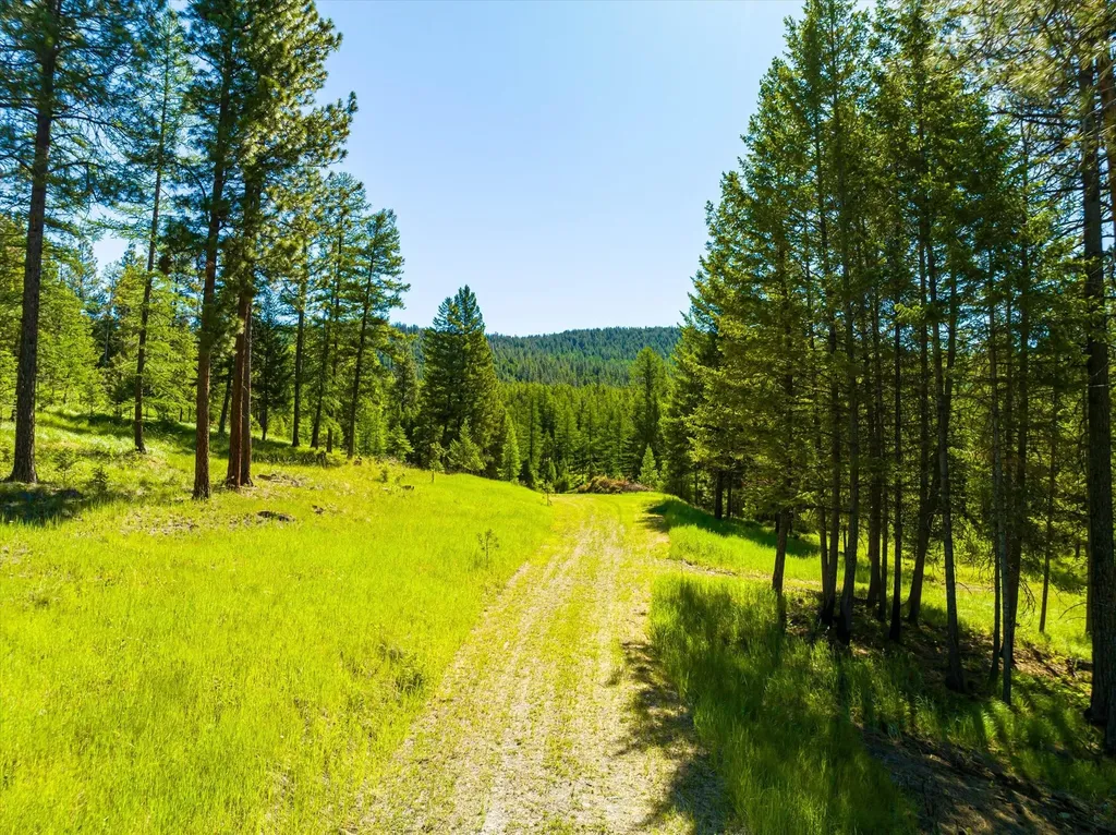 781 Springhill Road Kila MT 59920