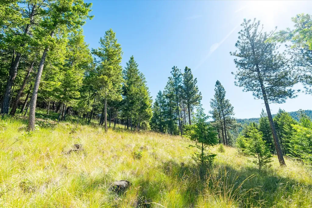 781 Springhill Road Kila MT 59920