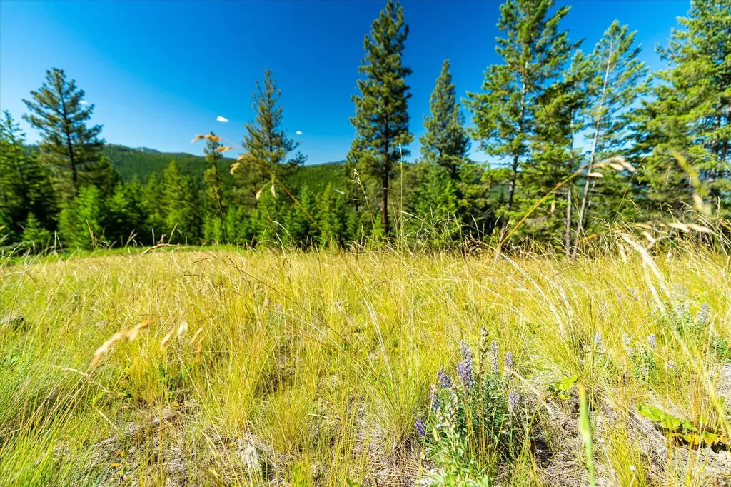 781 Springhill Road Kila MT 59920