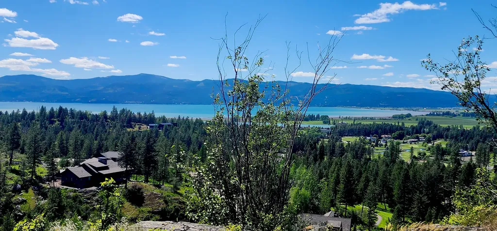 486 Hogue Drive Bigfork MT 59911