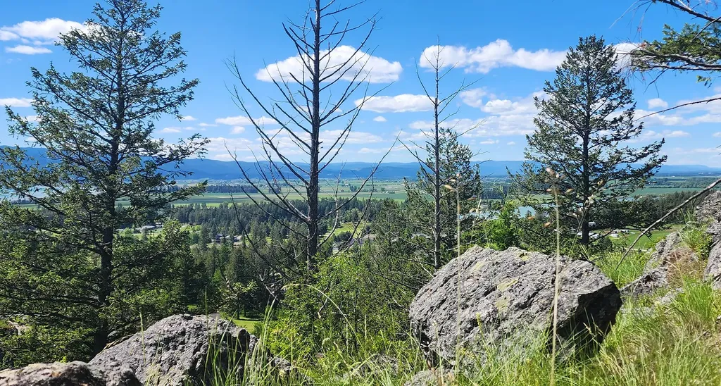 486 Hogue Drive Bigfork MT 59911