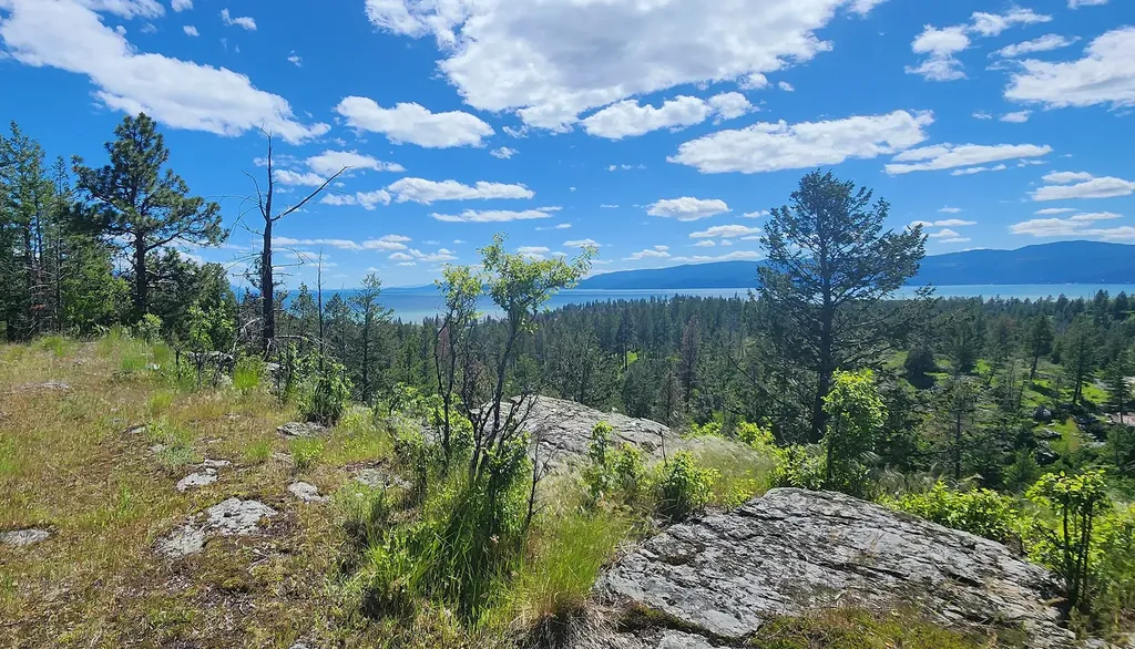 486 Hogue Drive Bigfork MT 59911