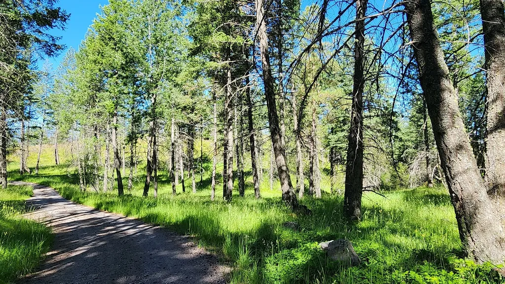 486 Hogue Drive Bigfork MT 59911
