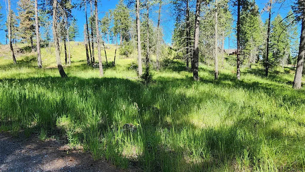 486 Hogue Drive Bigfork MT 59911