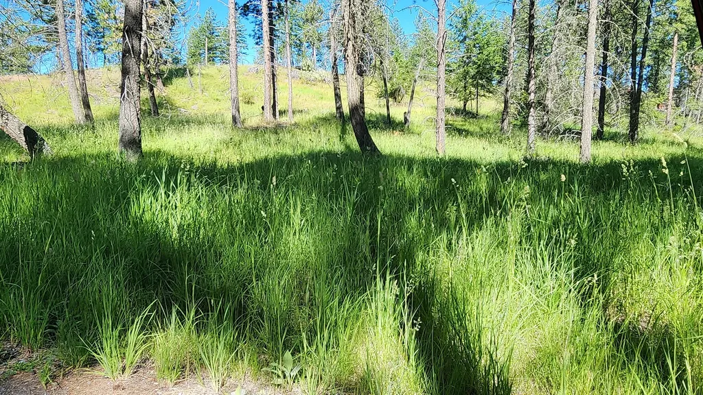 486 Hogue Drive Bigfork MT 59911