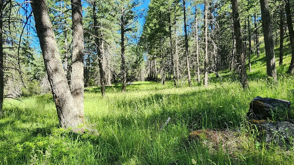 486 Hogue Drive Bigfork MT 59911