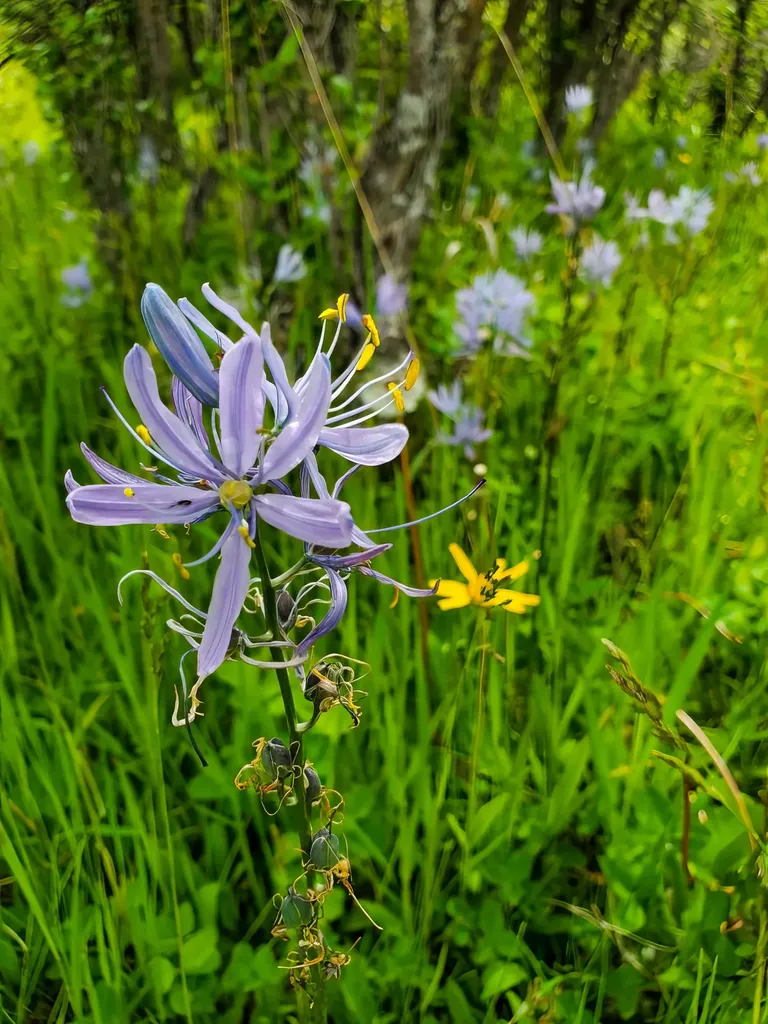 8925 Lavalle Creek Road Missoula MT 59808