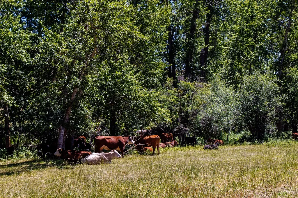 8925 Lavalle Creek Road Missoula MT 59808