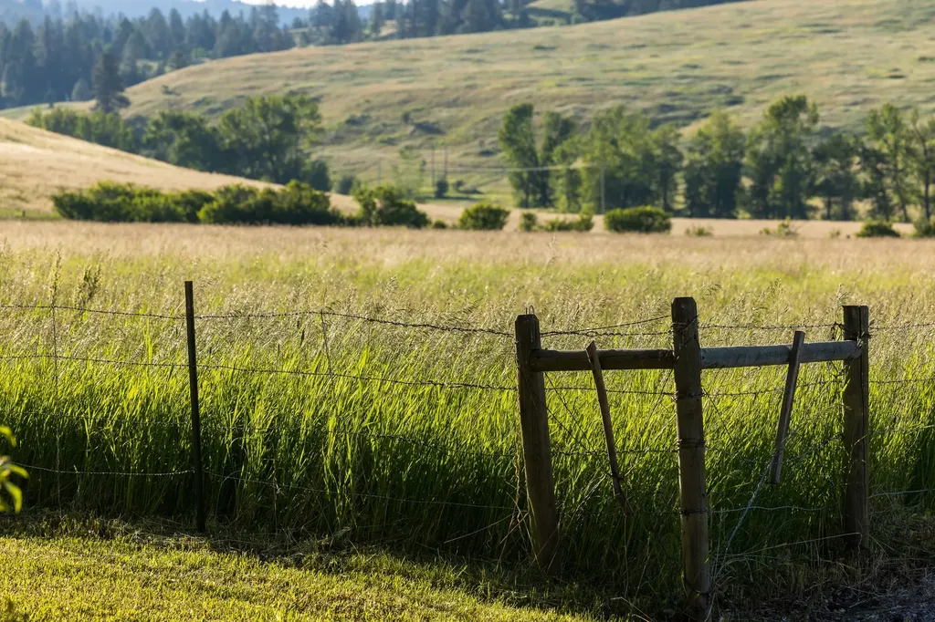 8925 Lavalle Creek Road Missoula MT 59808