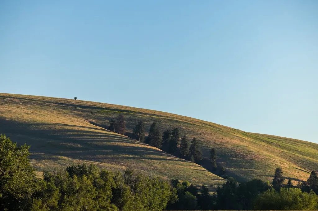 8925 Lavalle Creek Road Missoula MT 59808