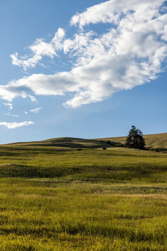 8925 Lavalle Creek Road Missoula MT 59808