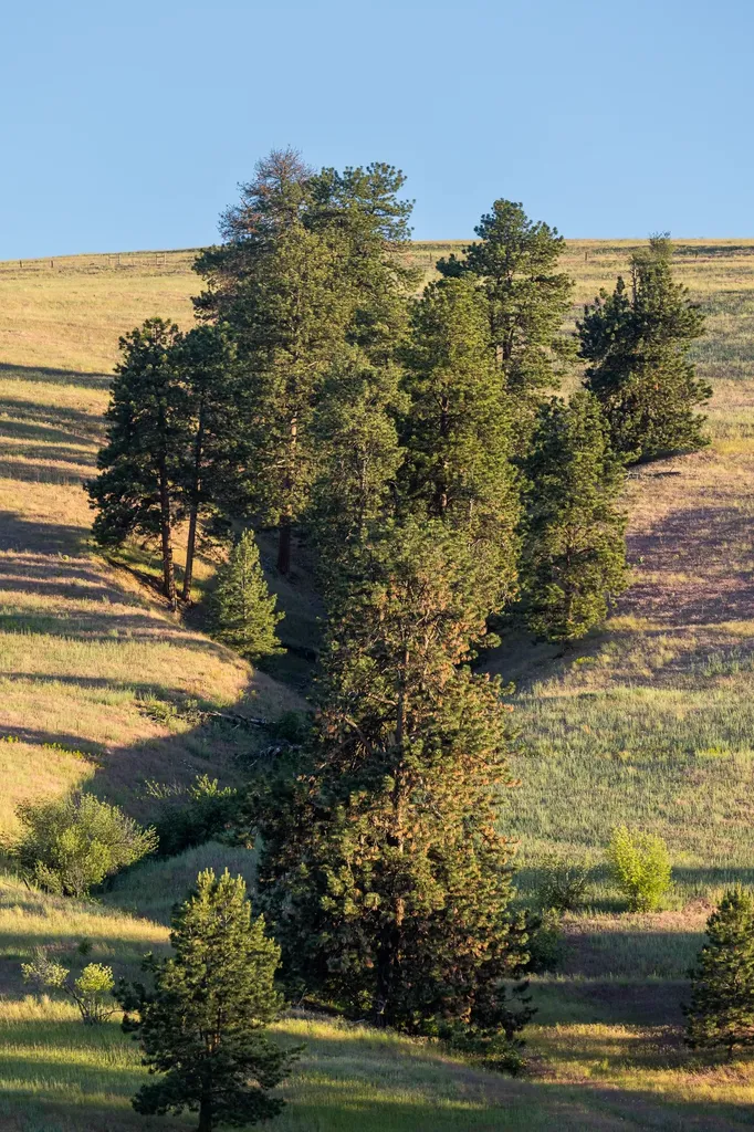 8925 Lavalle Creek Road Missoula MT 59808