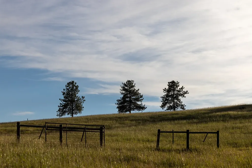 8925 Lavalle Creek Road Missoula MT 59808