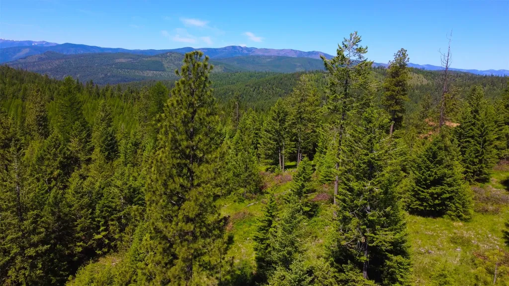 Nhn Corona Road Ranch Plains MT 59859