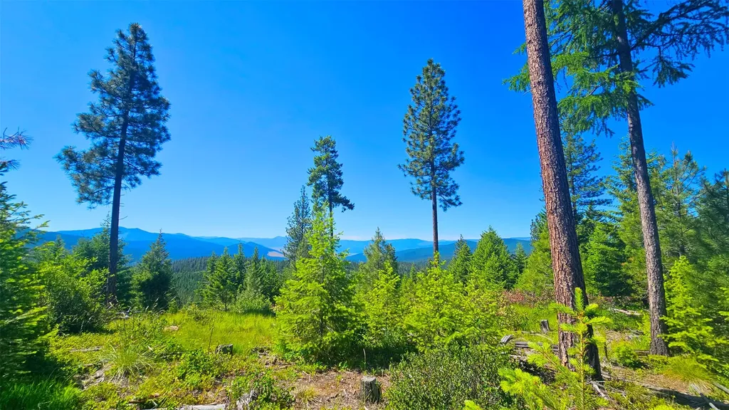 Nhn Corona Road Ranch Plains MT 59859