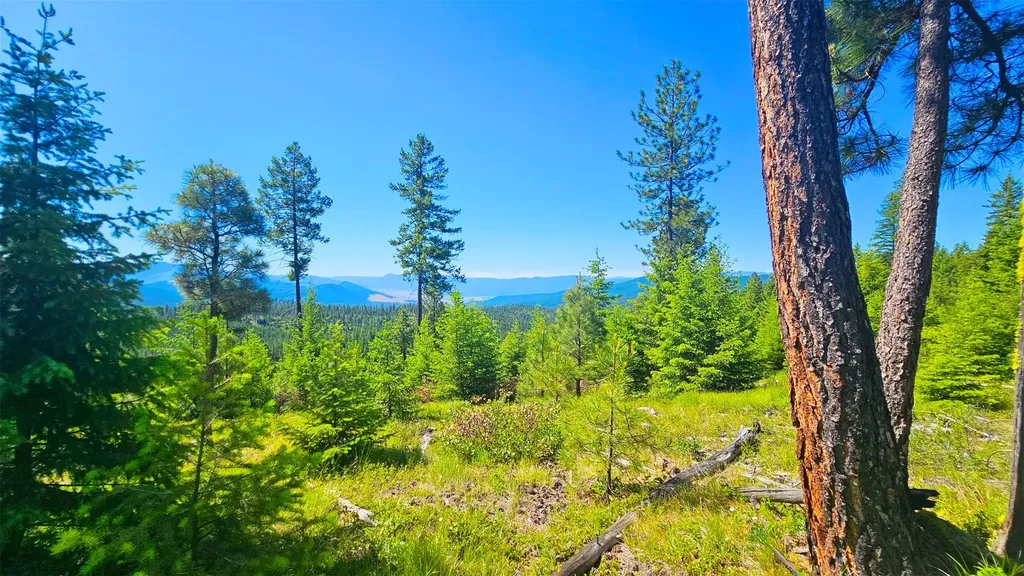 Nhn Corona Road Ranch Plains MT 59859