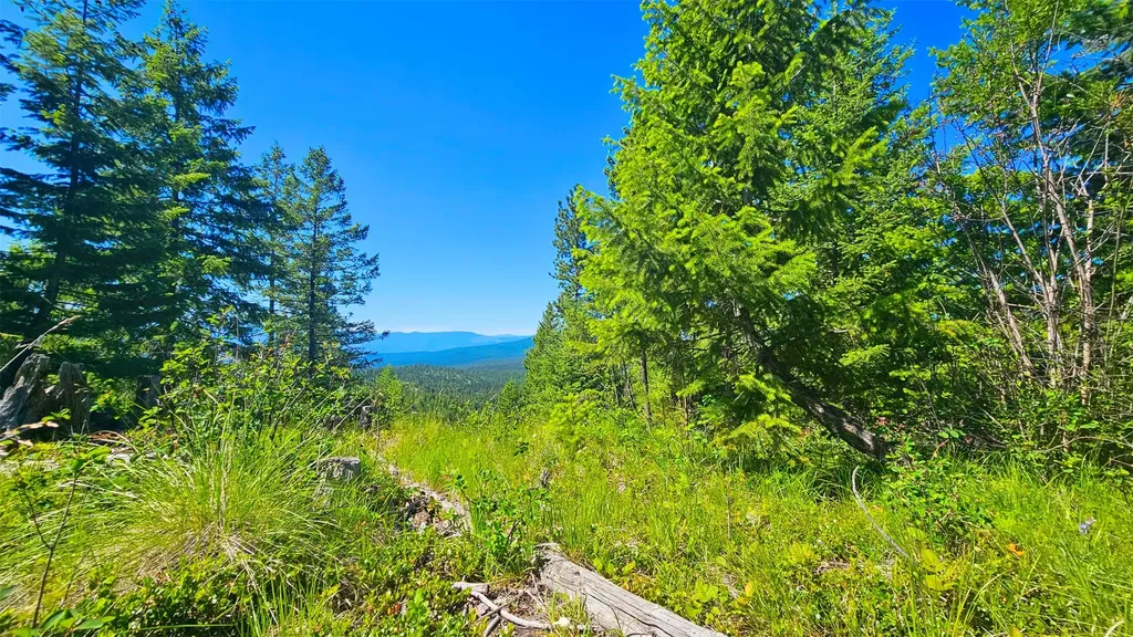 Nhn Corona Road Ranch Plains MT 59859