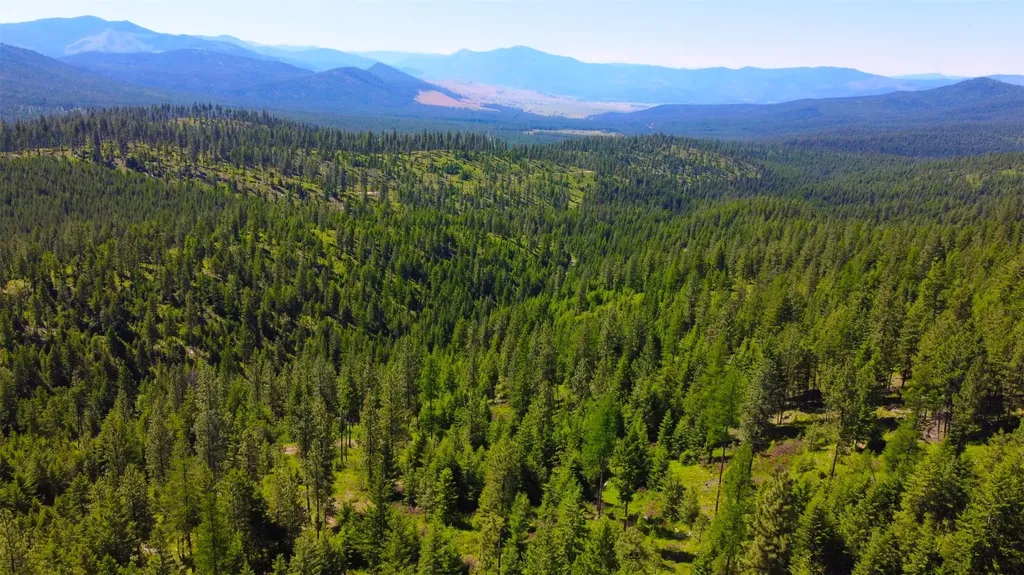Nhn Corona Road Ranch Plains MT 59859