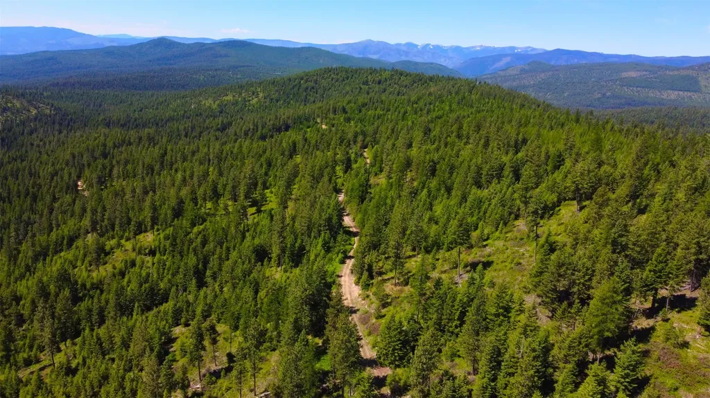 Nhn Corona Road Ranch Plains MT 59859