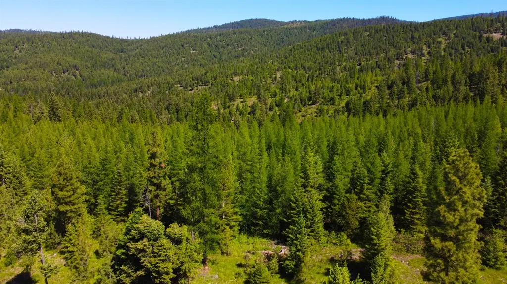 Nhn Corona Road Ranch Plains MT 59859