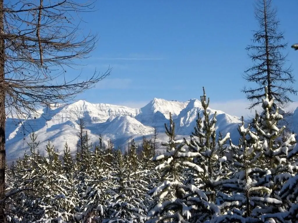 8500 North Fork Road Polebridge MT 59928